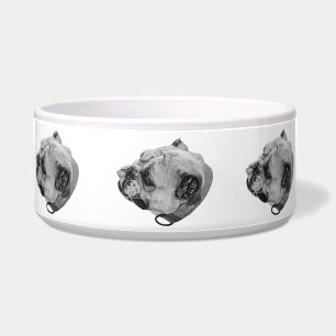 Écuelle Facilité de repas pour Bouledogue