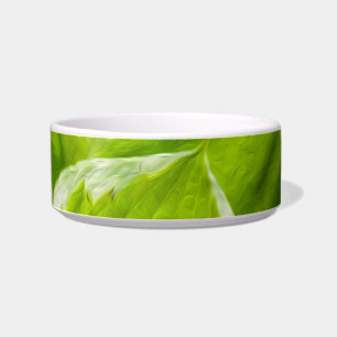Écuelle Feuilles verts Hosta