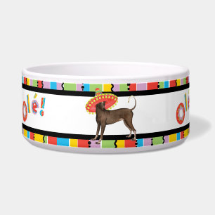 Écuelle Fiesta Xolo Pet