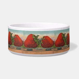 Écuelle Fraises Giant Fruit Antique Fruit Amusant