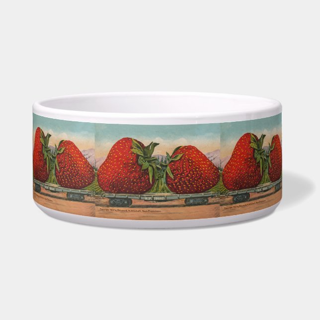 Écuelle Fraises Giant Fruit Antique Fruit Amusant (Devant)