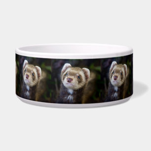 Écuelle Furet