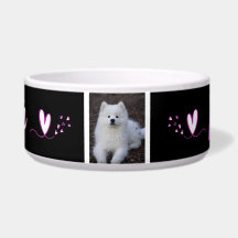 Ecuelle, Hundehütte, Katze, Tier von c