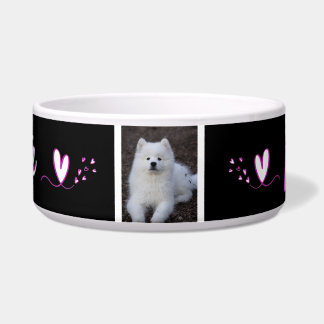 Ecuelle, Hundehütte, Katze, Tier von c Napf