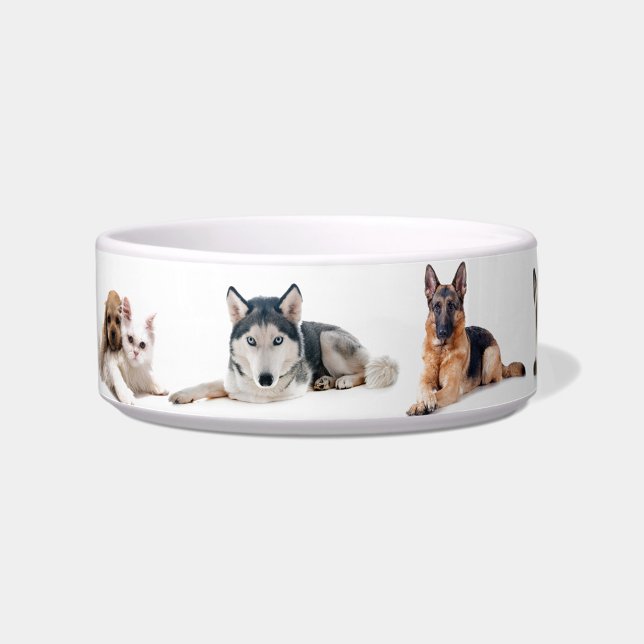 Écuelle Joli bol en céramique illustré pour multi-animaux  ("Cute Pet Portrait Bowl")