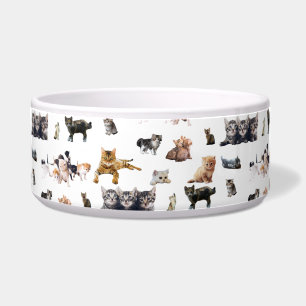 Écuelle Joli motif avec des photographies de chats et de c