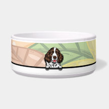 Joli Spaniel Anglais qui regarde, nourriture ou bo