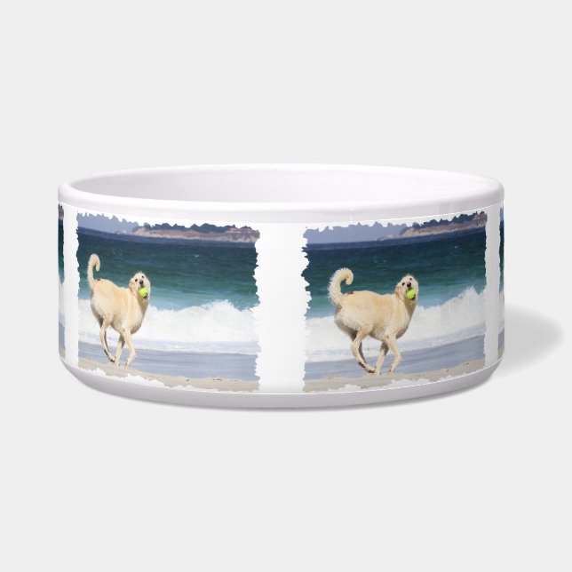 Écuelle Labradoodle - jour heureux sur la plage (Devant)