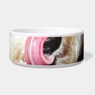 Écuelle Langue maximum de cuvette de chienchien !