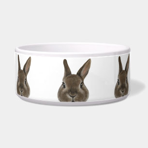 Écuelle Lapin nain du Pays-Bas Alimentation en céramique 