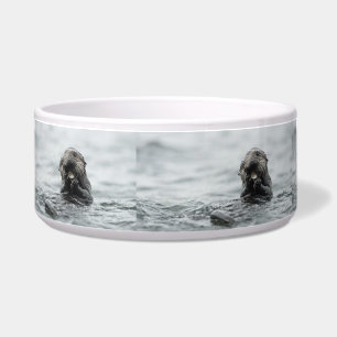 Écuelle Loupe de mer adorable