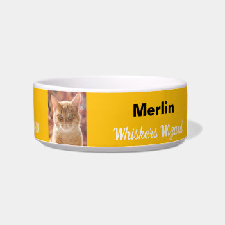 Écuelle Magnifique Magnifique Assistant Whiskers Anniversa