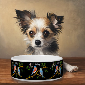 Écuelle Mangeoire pour chien ou chat pour merlebleu 
