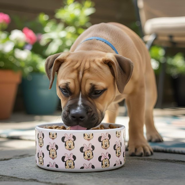 Écuelle Minnie Bowl (Créateur téléchargé)