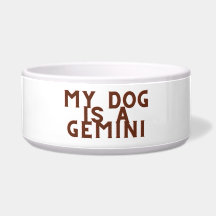 Mon chien est un gemini