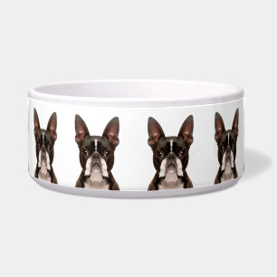 Écuelle Motif mignon de race de chien Boston Terrier