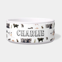 Motif personnalisé avec des photos de chats et de 