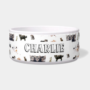 Écuelle Motif personnalisé avec des photos de chats et de 