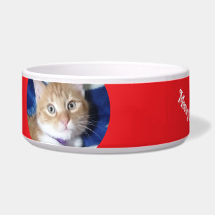 Écuelle Noël, Meilleur Chat Ever , Photo de Chat ,