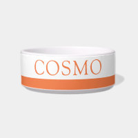 Nom personnalisé de chat de chien en bande orange