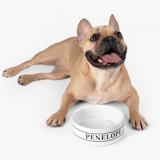 Écuelle Nom personnalisé de l'animal de compagnie moderne  (Cute Personalized Pet Dog Bowl)