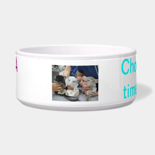 Écuelle nourriture de chinchilla