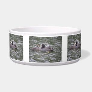 Écuelle Nourriture de la chiche affamée Bowl pour animaux