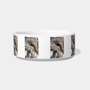 ÉCUELLE OWLS