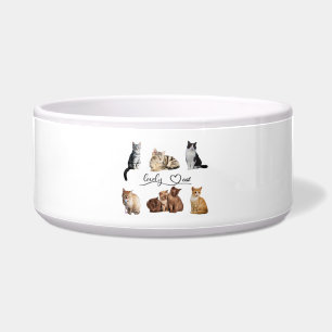 Écuelle paquet de chats, paquet de chats drôles