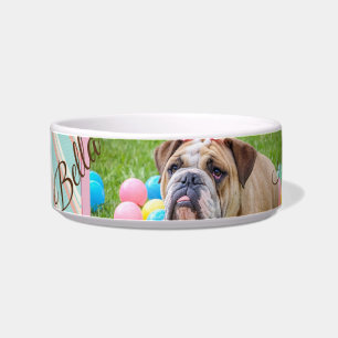 Écuelle Pastel Chevron Chien Photo personnalisée