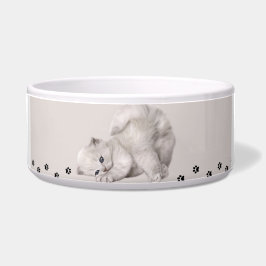 Écuelle "Pawyer Bowl"? Petit chat🐾✨