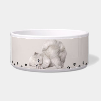 Écuelle "Pawyer Bowl"? Petit chat🐾✨