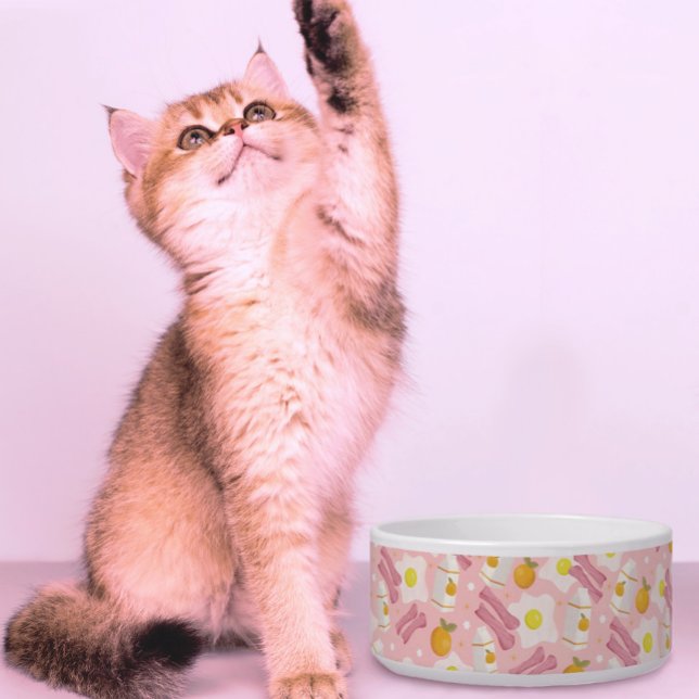 Écuelle Petit déjeuner optimiste (Créateur téléchargé)