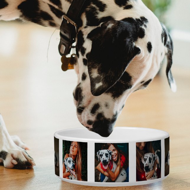 Écuelle Photo Collage Chat Chien Famille Animaux de compag (family pet photo collage pet bowl)
