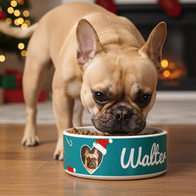 Écuelle Photo de chien Santa Hat Turquoise Noël Animaux de (Just add your best friend's photo and name to this festive teal dog bowl)