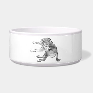 Écuelle Plaisir de Repas de Chien