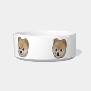 Écuelle Plat d'animal familier de chien de Pomeranian