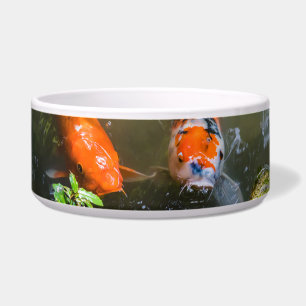 Écuelle Poisson Koi dans un étang