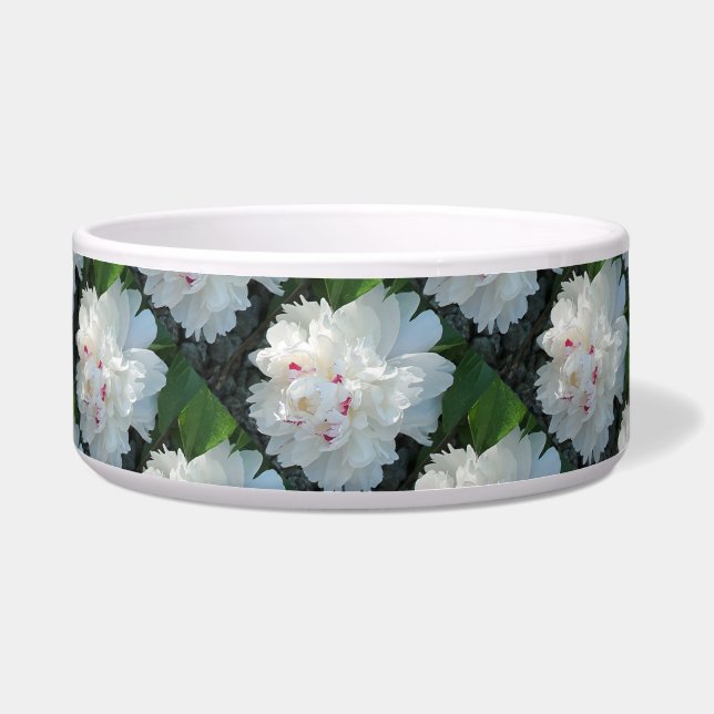 Écuelle Pony Pet Bowl Multi Précieux (Devant)