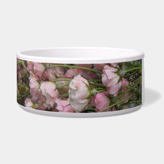 Écuelle pour animaux en céramique