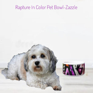 Écuelle Rapidité En Céramique Couleur Pet Bowl