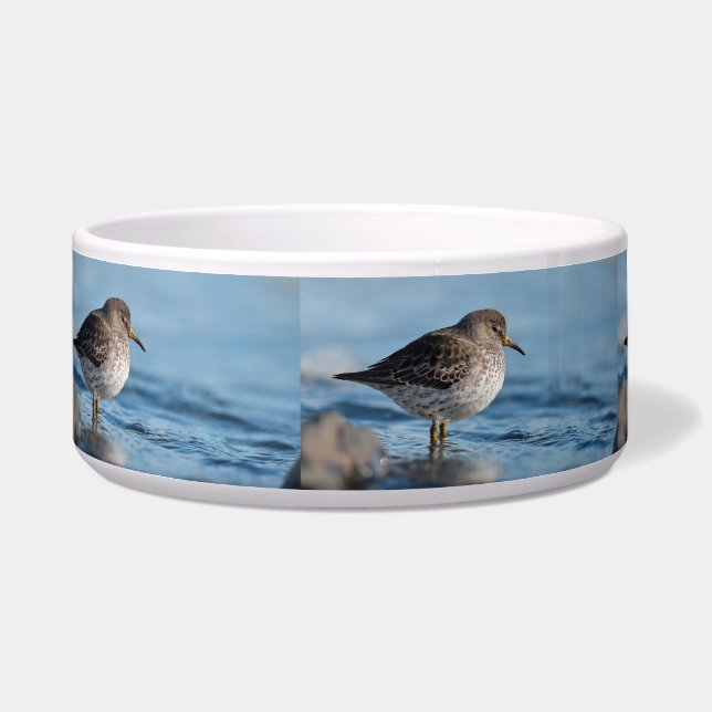 Écuelle Recherche de Bécasseau (Gauche)