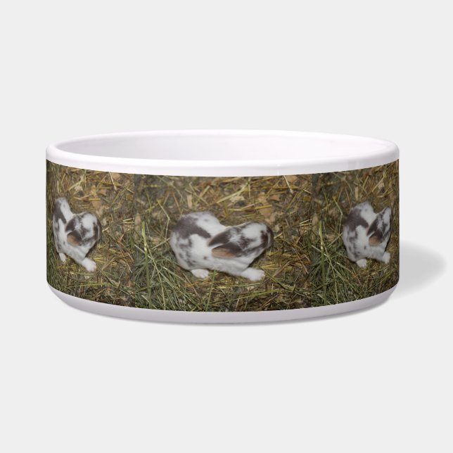 Écuelle Reèces pour bébés (Devant)