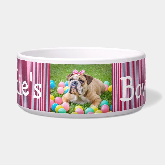 Écuelle Rouge personnalisé et bleu de cuvette de chien de (Devant)