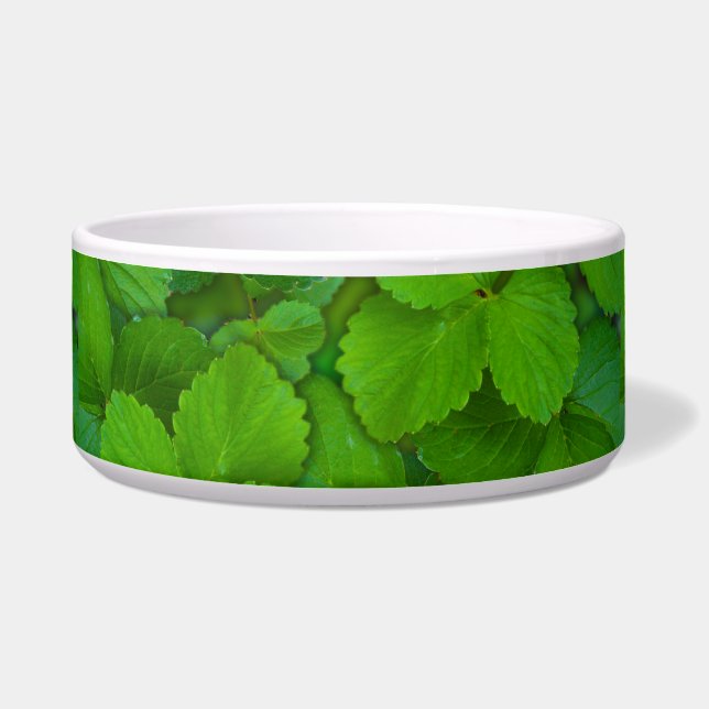 Écuelle Saint Basil Tulsi Green Mint Feuilles (Devant)