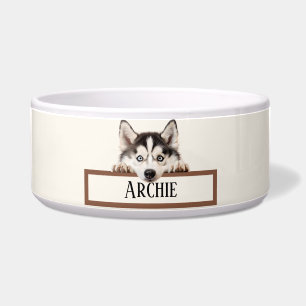Écuelle Sibérien Husky
