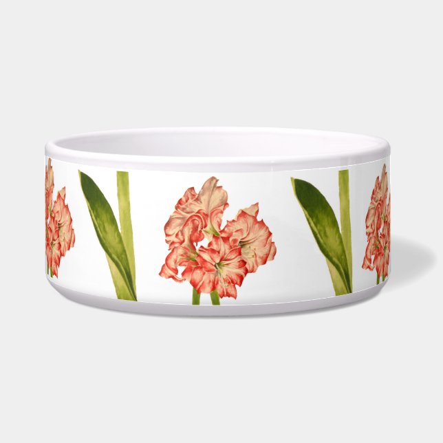Écuelle Sucre de canne sur un bol de salade (Devant)