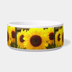 Écuelle Sunflower Pet Bowl