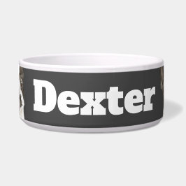 Écuelle Triangle de Boston Terrier