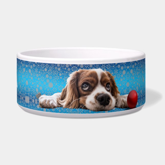 Écuelle Triste Cocker Spaniel Puppy (Devant)